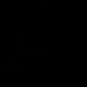 Meet your Posher, Leo